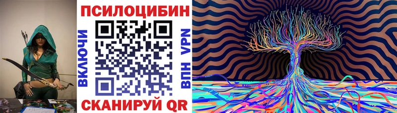 купить наркоту  Находка  Псилоцибиновые грибы мицелий 